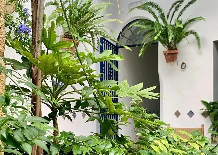 Casa Alborada ゲストハウス *