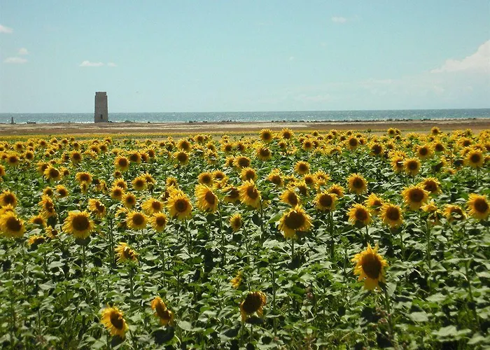 Casa Alborada コニル・デ・ラ・フロンテラ