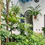 Casa Alborada Guest house *