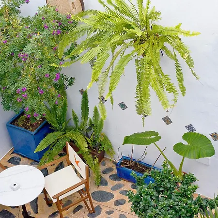 Casa Alborada Conil De La Frontera