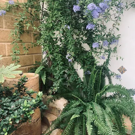 Guest house Casa Alborada *