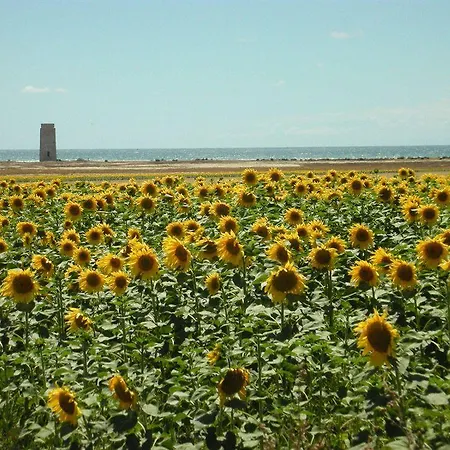 Casa Alborada Conil De La Frontera
