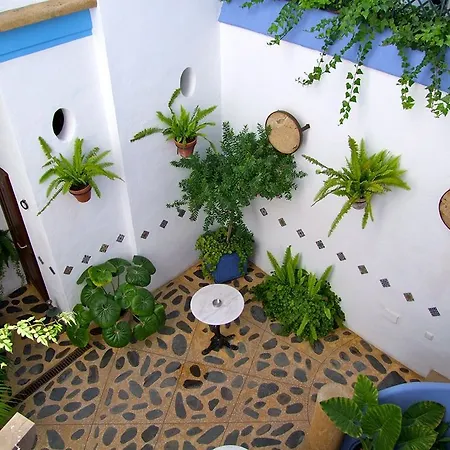 Casa Alborada * Conil De La Frontera