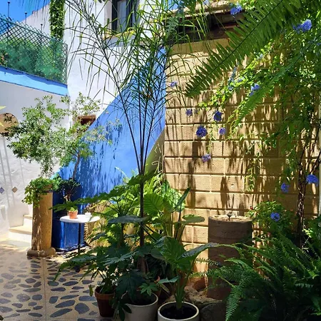 Maison d'hôtes Casa Alborada Conil De La Frontera