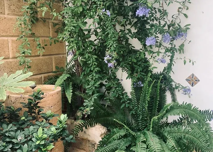 Maison d'hôtes Casa Alborada *