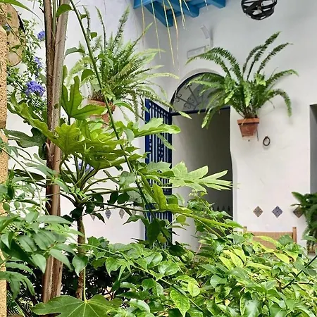 Casa Alborada בית הארחה *